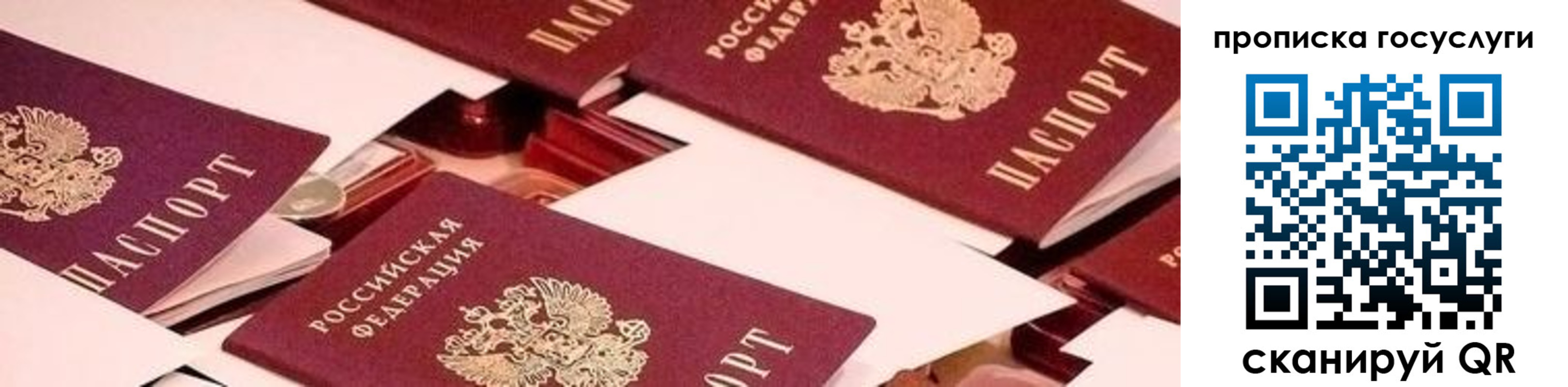 регистрация в Сальске